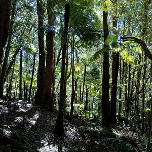 Meet your Posher, Tahni